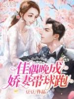 佳偶天成追妻送萌宝全文免费阅读