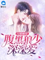 闪婚惊情腹黑总裁宠上瘾全文免费阅读