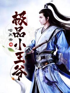 极品小王爷主角刘哲书名