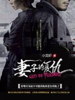 妻子的复仇陈喆第21