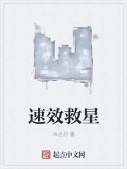 速效救心丸配方组成