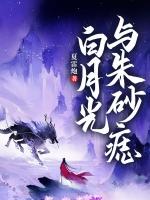 白月光与朱砂痣原名