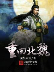重生北魏皇子