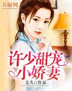 豪门甜宠小娇妻电视剧全集