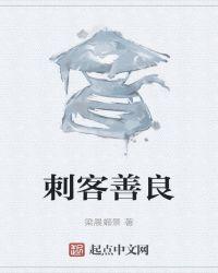 刺客什么电影