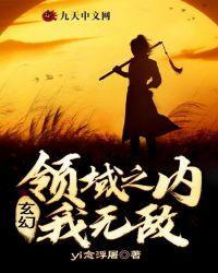 领域之内无敌的