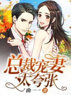 总裁宠妻太夸张顾念