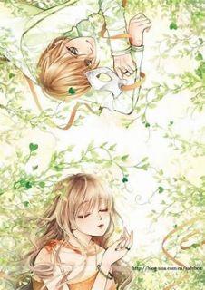 钟晚陆锦书免费