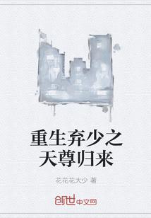 全集重生弃少归来