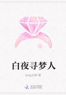 洛天依白夜梦歌词