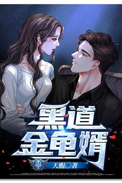黑道金钗全部