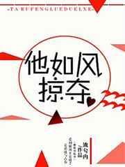 他如风掠夺 作者流兮冉