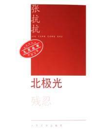 北极光公司简介