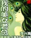 我的美女老总二部