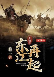 大明之东江再起写完了吗