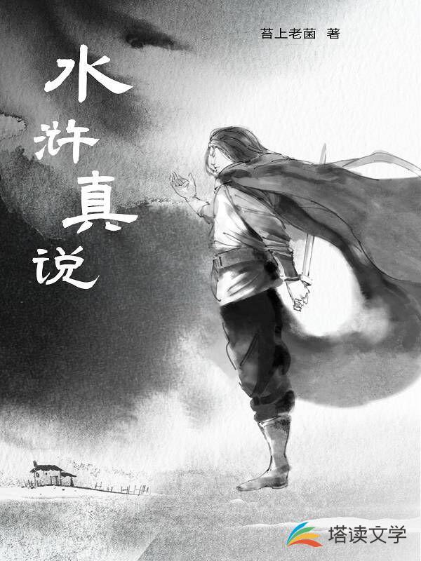 水浒真说 豪横大宋