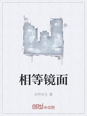 镜面对称定理