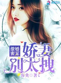 娇妻撩人别惹危险总裁