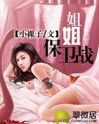 姐姐保卫战作品