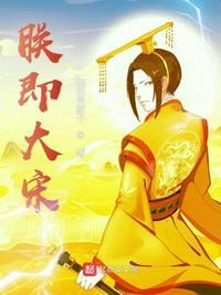 朕即大宋百度百科