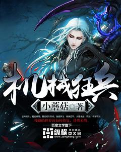 机械狂兵txt八零