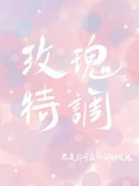 玫瑰特调有几本实体书