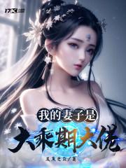 我的妻子是大乘期大佬女主角