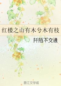 红楼梦之山有木兮木有枝txt