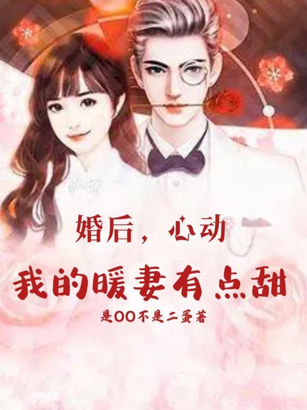 我的暖婚新妻免费阅读