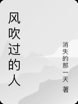 风吹过的时候音乐
