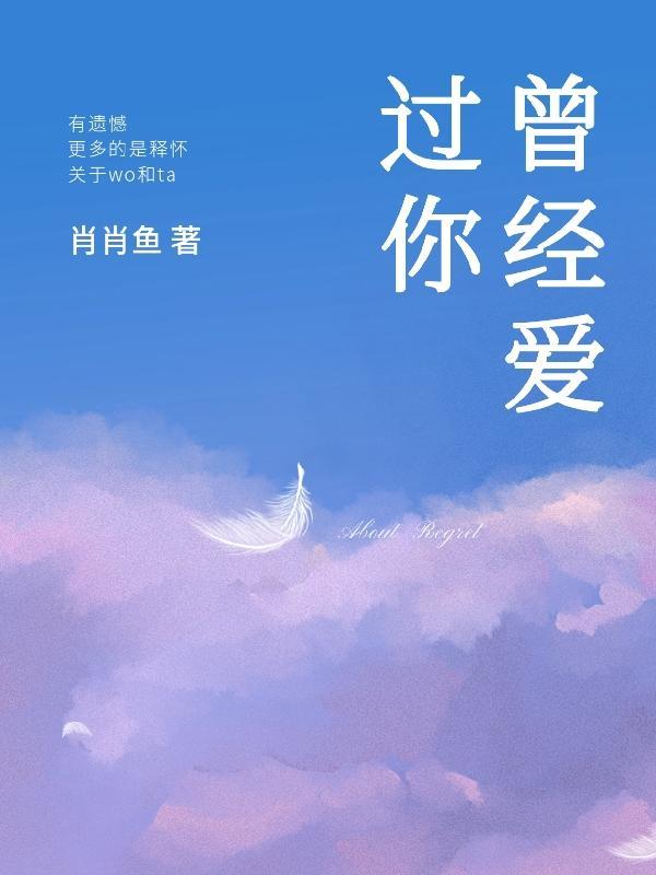 曾经爱过我林伟刘念第一章