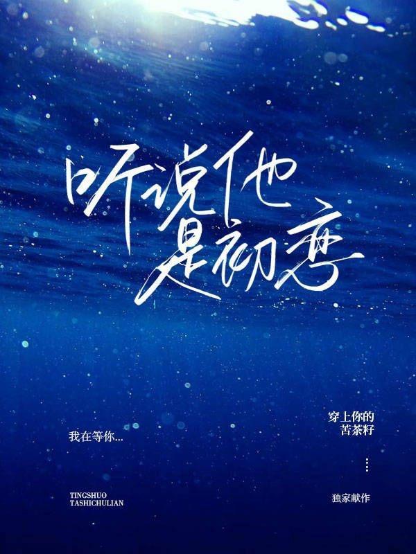 听说他是初恋 穿上你的苦茶籽