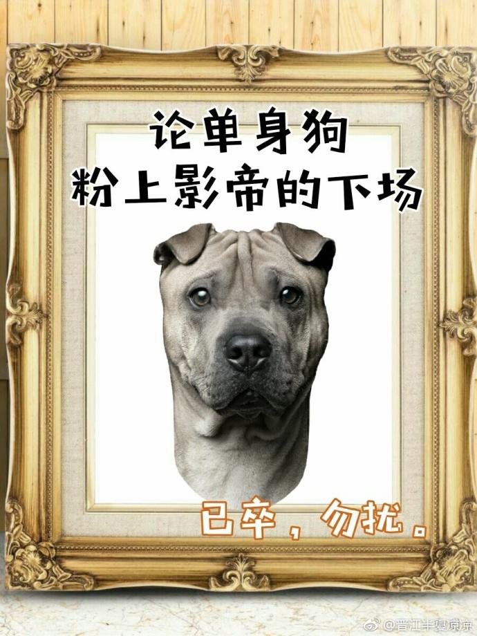 影帝酷爱撒糖无重复
