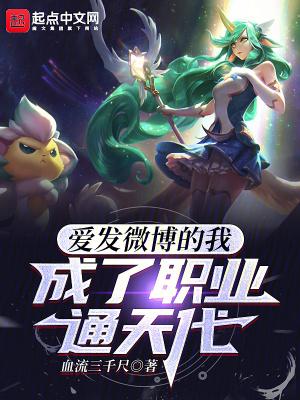 成了职业通天代首发