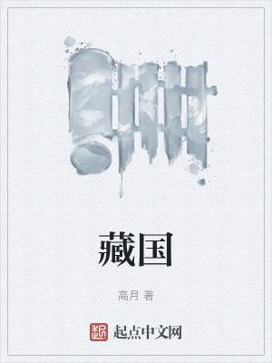 藏国最新章节