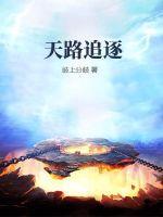 天路历程原著