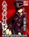 我的老婆是军阀 起点