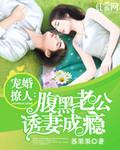 诱妻成婚腹黑老公太难缠