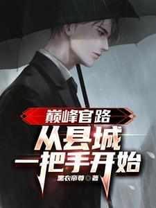 巅峰官路从县城一把手开始王轩笔趣阁