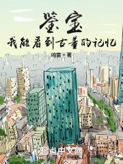 鉴宝检查