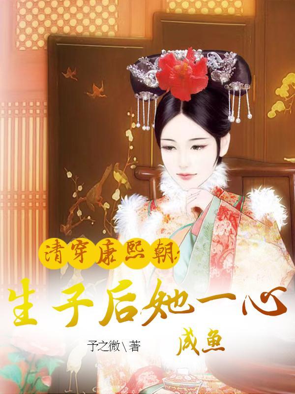 清穿康熙的儿子的有空间