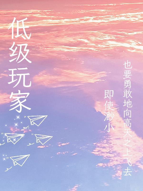 低级玩家电影