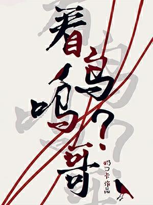 看鸟吗哥在线