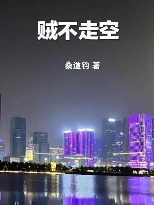 贼不走空的高级替代词