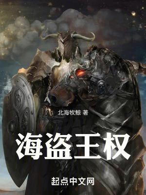海盗王权txt百度