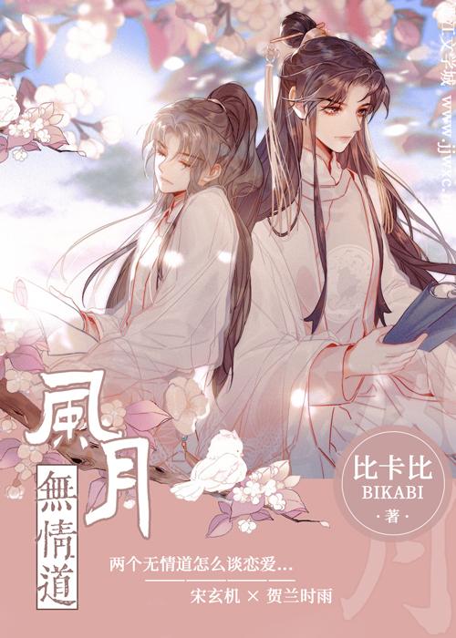 风月无情道全文TXT百度