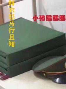 鲜衣怒马 什么意思