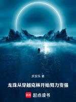 龙珠之穿越克林