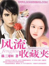 风流书呆作品晋江