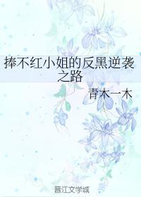 不捧不黑